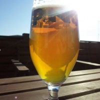 Punk IPA