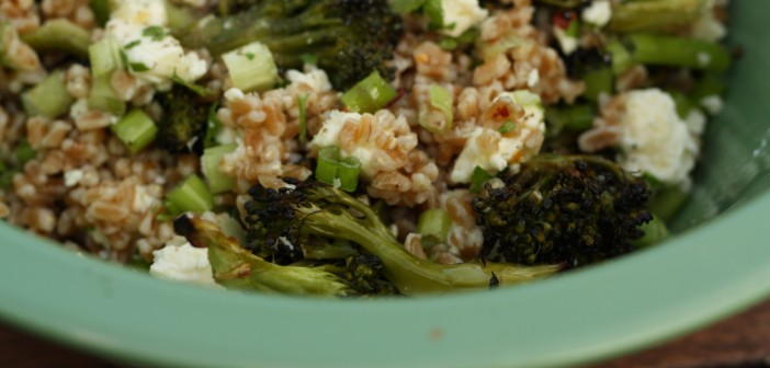 Brokkolí og farro-salat