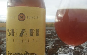 Haukur Leifsson bloggar: Skaði frá Ölvisholti