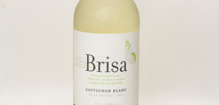 Vistamar Brisa Sauvignon Blanc 2011 - Mesa De Cata La